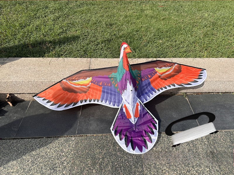 Jauns simulācijas pūķis bērniem, ērgļa lidojošs putnu brīze, viegli lidojams, vairumtirdzniecības dinamiskā simulācijas pūķis Veifangas pūķu ražotājs