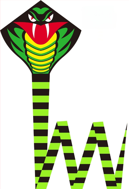 Jauns simtkājis Jinwei Tianlong 11 metri 15 metri 30 metri 50 metri zaļa čūska gara aste liels pūķis vairumtirdzniecība labi mušu ražotāji