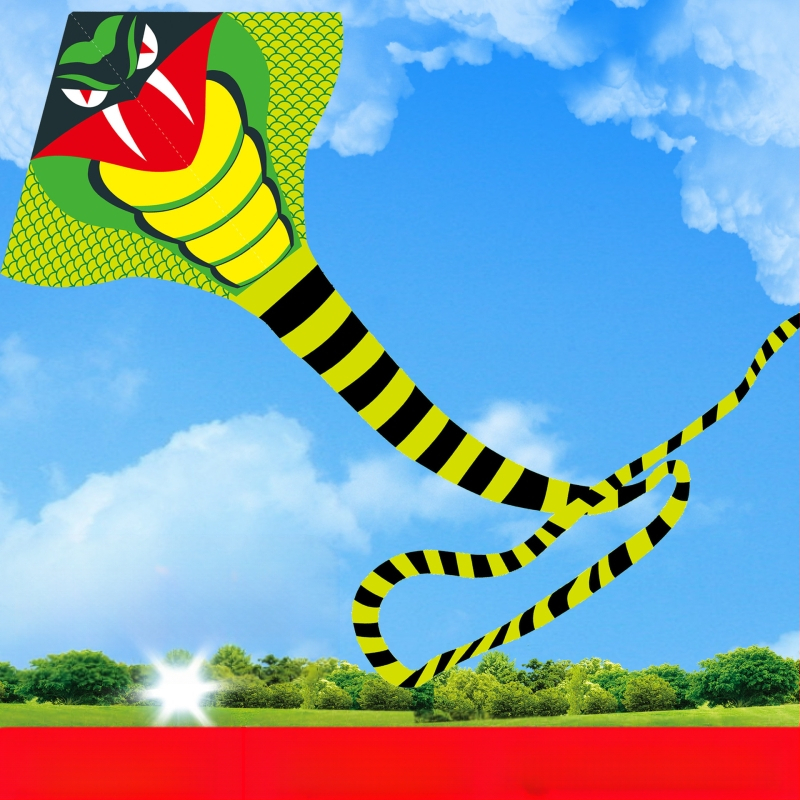 Jauns simtkājis Jinwei Tianlong 11 metri 15 metri 30 metri 50 metri zaļa čūska gara aste liels pūķis vairumtirdzniecība labi mušu ražotāji