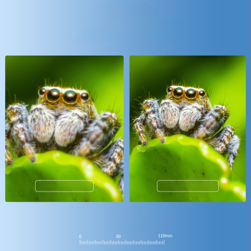 „Apexel“ naujasis „Ba Wei“ mobiliojo telefono makro objektyvas su HD AF „Lotus“ danga ir profesionaliu papuošalų identifikavimu fotografuojant lauke.