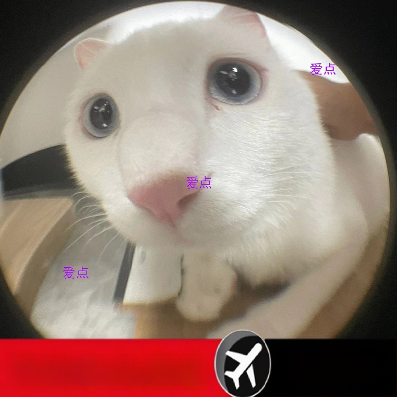 Gimtadienio asmenukių fotoaparato artefaktas, mobilusis telefonas, išorinis veidrodinis objektyvas, „fisheye“ objektyvas, makro, plataus kampo, specialieji efektai, atmosferos rekvizitai