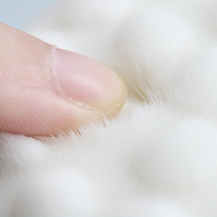 Vannihari kassiküünisega pehmete karvadega pika käepidemega vannihari meestele ja naistele naha hõõrumiseks muda vannirätikuga kehahari seljale