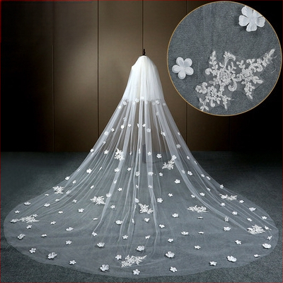 Žvaigždėto dangaus nuotakos pagrindinė vestuvinė suknelė baltas ilgas šampano spalvos uodegos šydas galvos apdangalas super fėjos stiliaus vestuvės retro