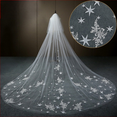 Žvaigždėto dangaus nuotakos pagrindinė vestuvinė suknelė baltas ilgas šampano spalvos uodegos šydas galvos apdangalas super fėjos stiliaus vestuvės retro