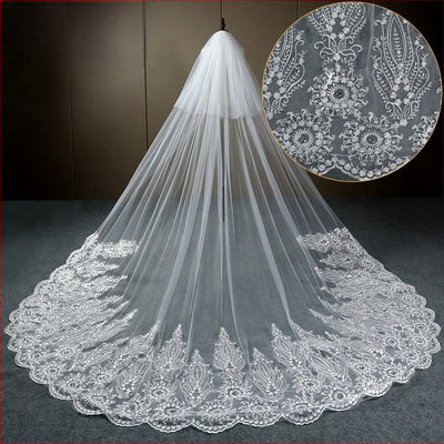 Žvaigždėto dangaus nuotakos pagrindinė vestuvinė suknelė baltas ilgas šampano spalvos uodegos šydas galvos apdangalas super fėjos stiliaus vestuvės retro