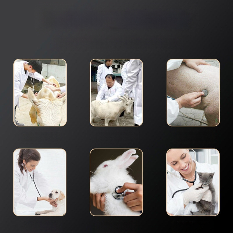 Stetoskop veterinar dublu scop pentru porci, vaci, oi, pisici și câini | Brand: Farm Agriculture | Domeniu: creșterea animalelor | Asigurarea calității