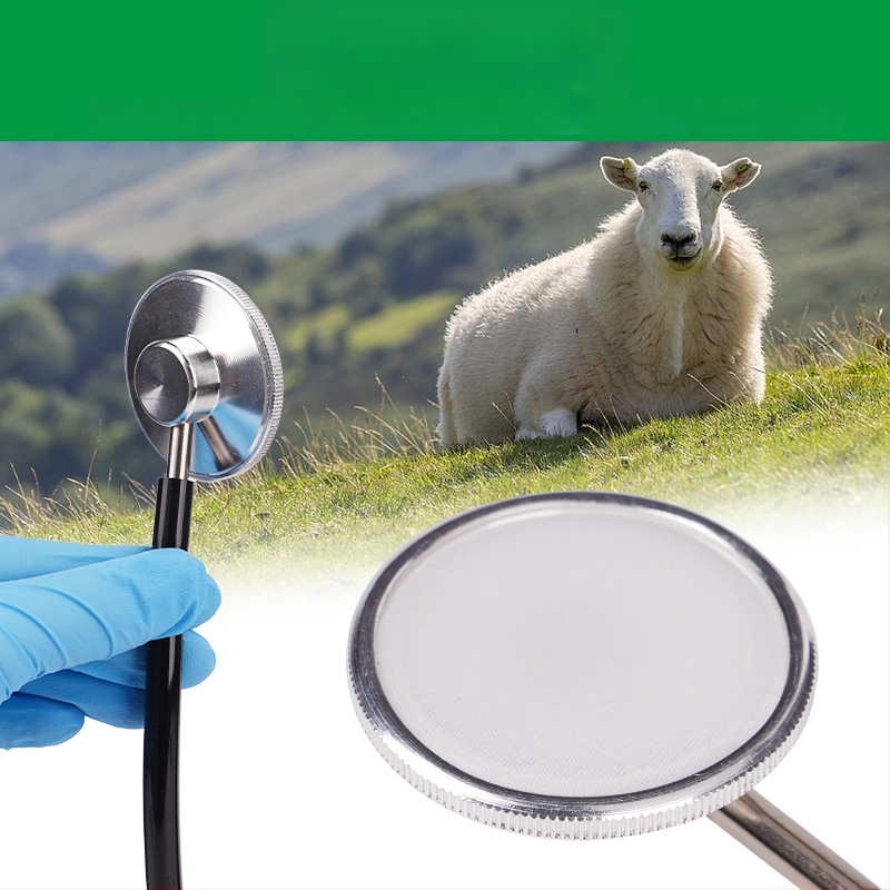 Stetoscop cu capete duble pentru animale de reproducere – echipament pentru creșterea animalelor; porci, vaci și oi; industrie zootehnică; garanție de calitate.