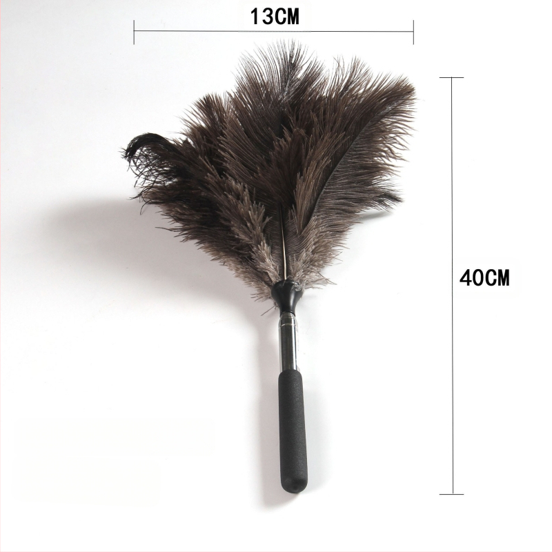 Četka za prašinu s perju strutsa, plosna glava, teleskopska cijev od nehrđajućeg čelika i drvena drška