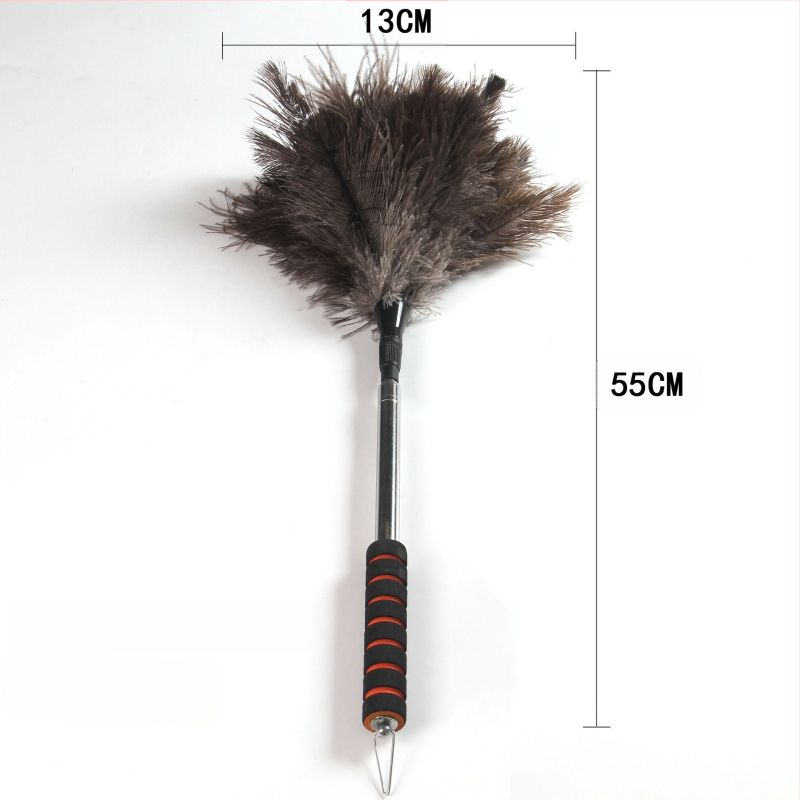 Četka za prašinu s perju strutsa, plosna glava, teleskopska cijev od nehrđajućeg čelika i drvena drška