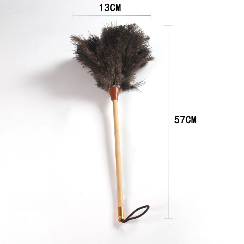 Četka za prašinu s perju strutsa, plosna glava, teleskopska cijev od nehrđajućeg čelika i drvena drška