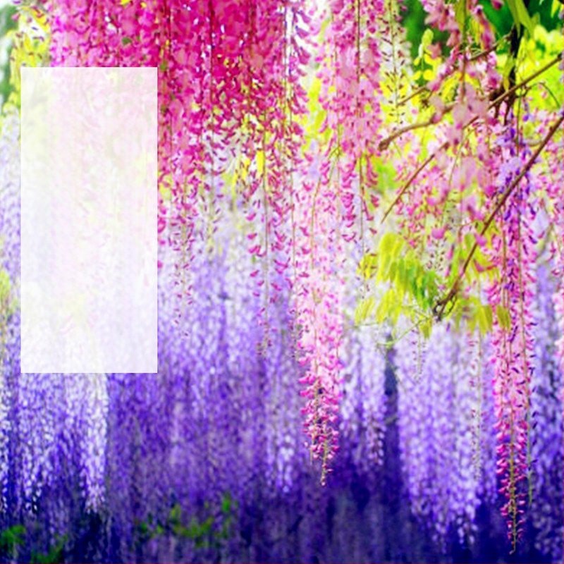 Dirbtinių gėlių vijų iš šilko gėlių – hortenzija, injekciniu formavimu, vestuvėms, lauko naudojimui, fotografijos rekvizitams ir namų dekorui