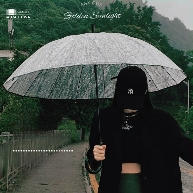 Yanyun priehľadný dáždnik s 16 žiabrami, automatické otvorenie, dlhá rukoväť, DIY prispôsobenie