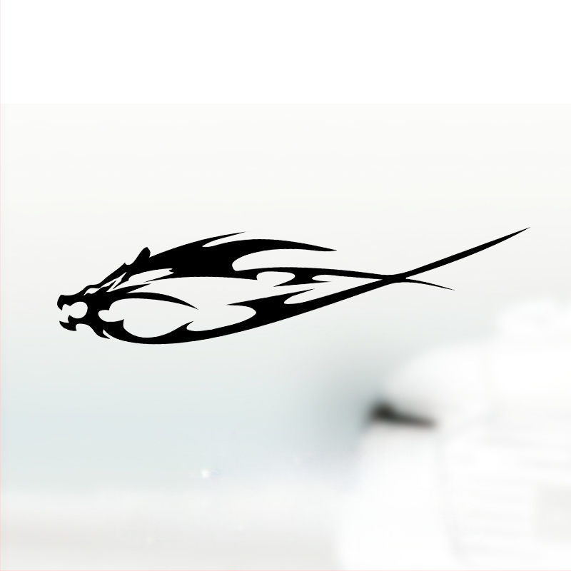 Automobilių žibintų antakių lipdukai su asmeniniu tekstu, epoksidinė medžiaga, priešsusidūrimo klijai, universalus suderinamumas