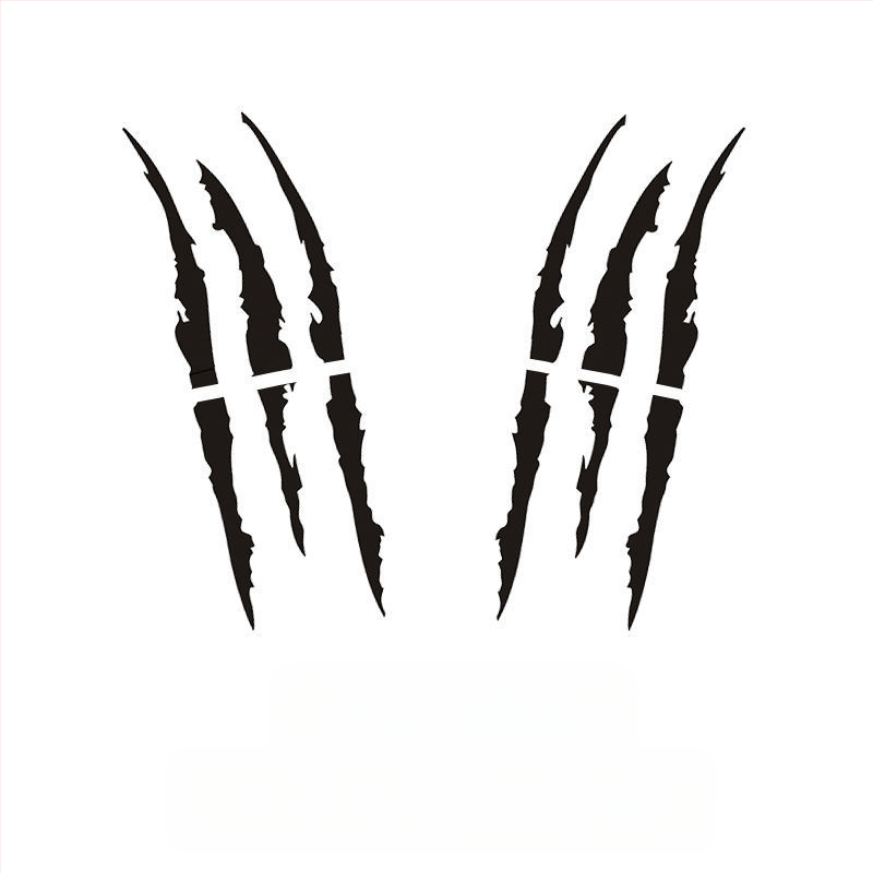 Automobilių žibintų antakių lipdukai su asmeniniu tekstu, epoksidinė medžiaga, priešsusidūrimo klijai, universalus suderinamumas