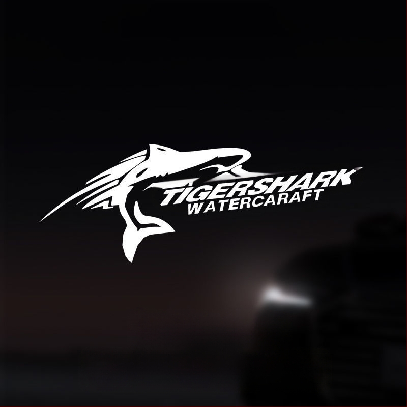 Automobilių žibintų antakių lipdukai su asmeniniu tekstu, epoksidinė medžiaga, priešsusidūrimo klijai, universalus suderinamumas