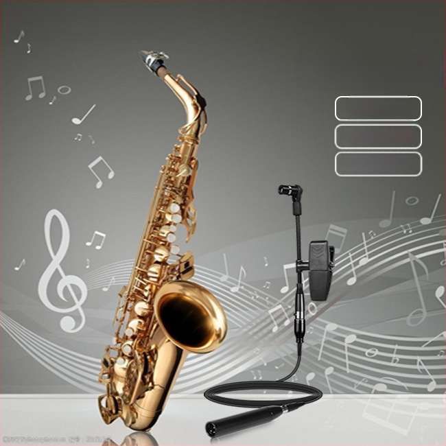 Ασύρματο μικρόφωνο μουσικών οργάνων συμπυκνωτή για σαξοφόνο, κόρνο και τρομπέτα — Dr.MIC/teacher Mai; καρδιακού τύπου κατευθυντικότητα; αναλογία σήματος προς θόρυβο ≥85 dB