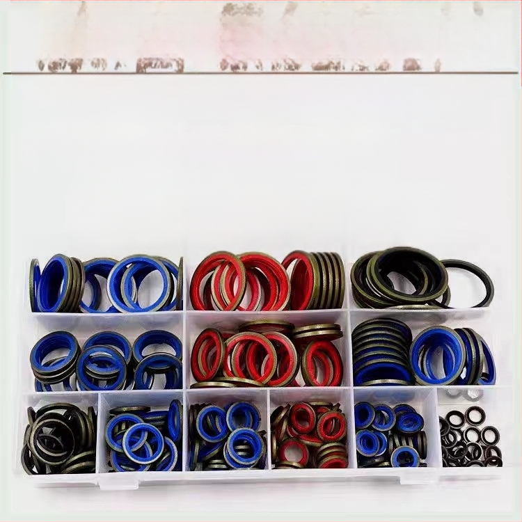 Kombinirani komplet za popravak brtvila i O-prstena za automobile, Ruixin stamping seal, model 6-163