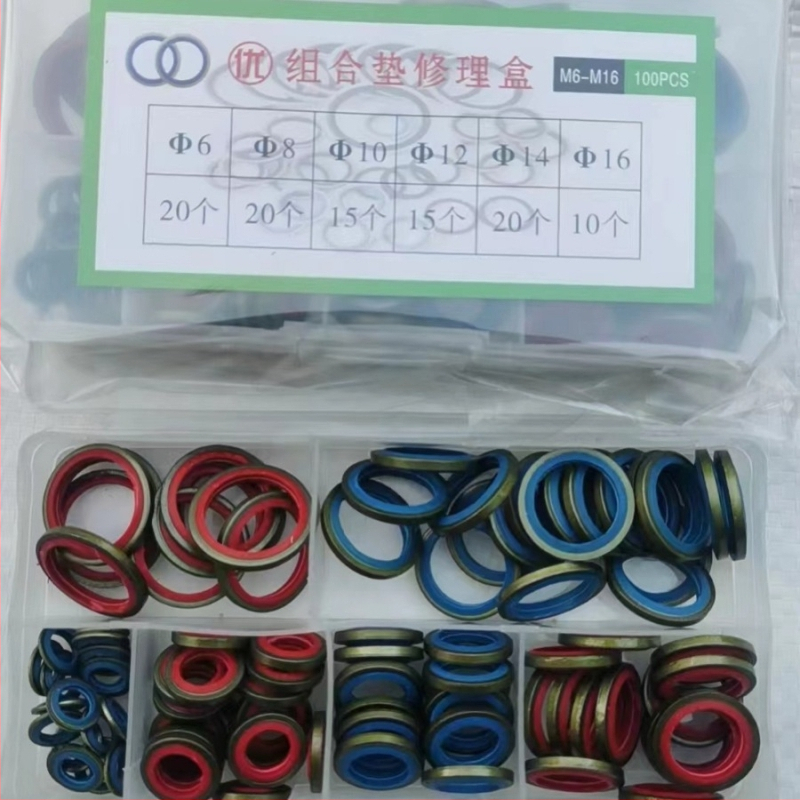 Kombinirani komplet za popravak brtvila i O-prstena za automobile, Ruixin stamping seal, model 6-163