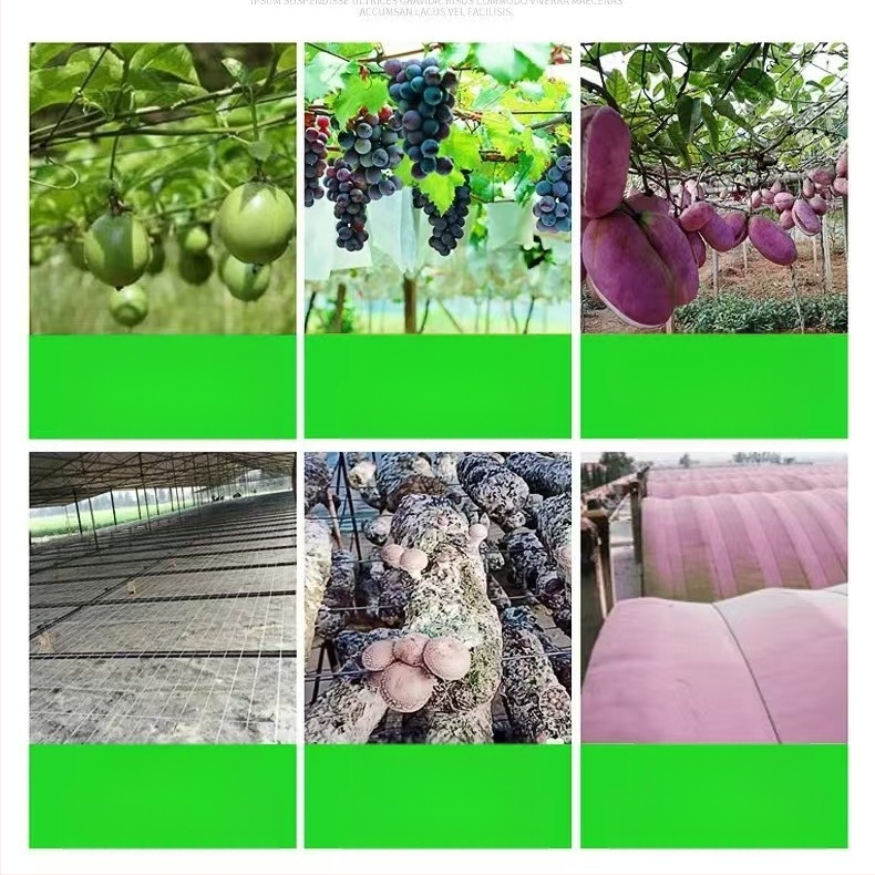 Aukštos tvirtumo PET poliesterio sodo virvė šiltnamiams: užuolaidų laikiklio virvė, paukščių tinklo virvė, vynmedžių ir passion fruit atraminė linija. Prekės ženklas: Ruihe new materials; tinka sodo rėmams ir auginimo įrangai.