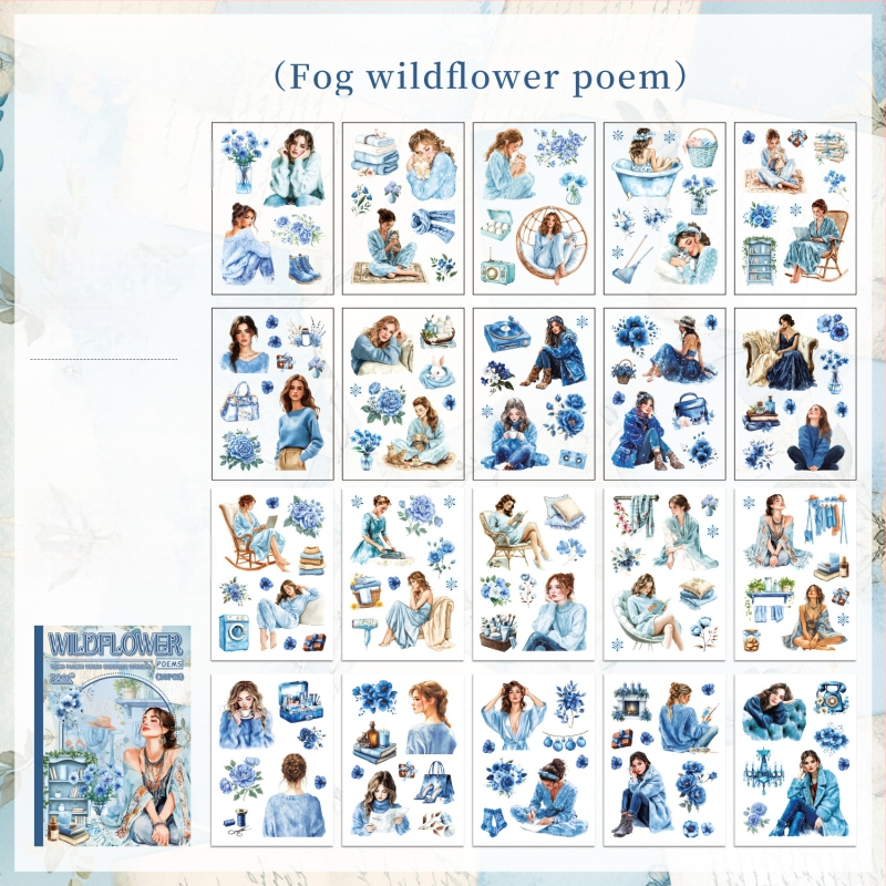 PET materiālu uzlīmju grāmata: caurspīdīga, ūdensizturīga DIY dienasgrāmatai; uzlīmju drukāšana; logotipa drukāšana pieejama; IP autorizācija: Nē