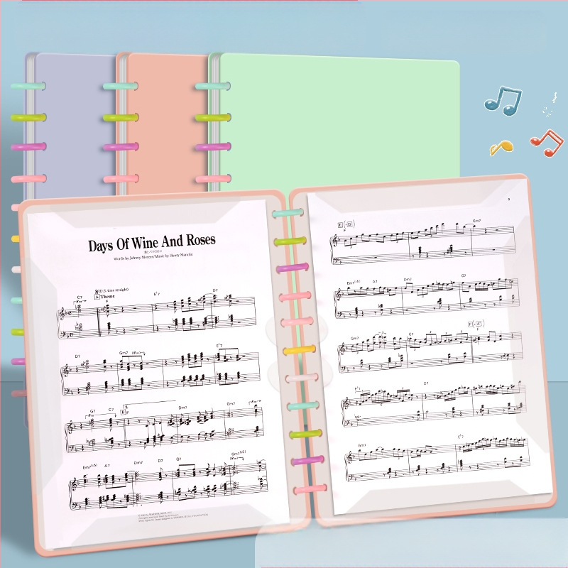 A4 пластмасова папка за нотни листове с клип, презаписваща, антиотразяваща повърхност, за клавирни партитури, 40 страници, възможност за печат на лого