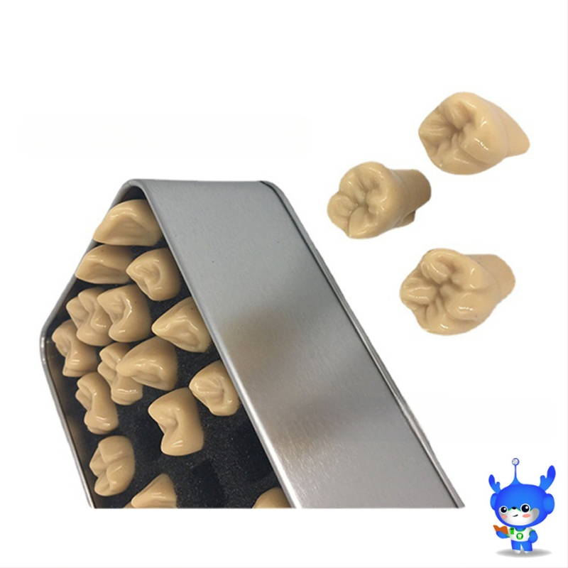 Дентален модел за резба на зъби — марка HDF, домашен производител, баркод 448037, Категория: Други химикали за орална грижа