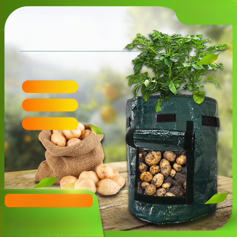 PE sodinimo maišelis, kvėpuojantis ekologiškas maišelis namų sodo darbams, žaliųjų projektų ir balkono daržovių auginimui, augimo maišelis