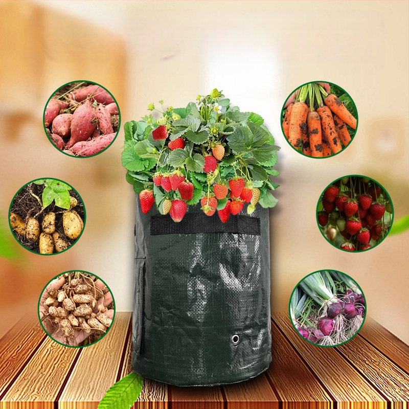 PE sodinimo maišelis, kvėpuojantis ekologiškas maišelis namų sodo darbams, žaliųjų projektų ir balkono daržovių auginimui, augimo maišelis