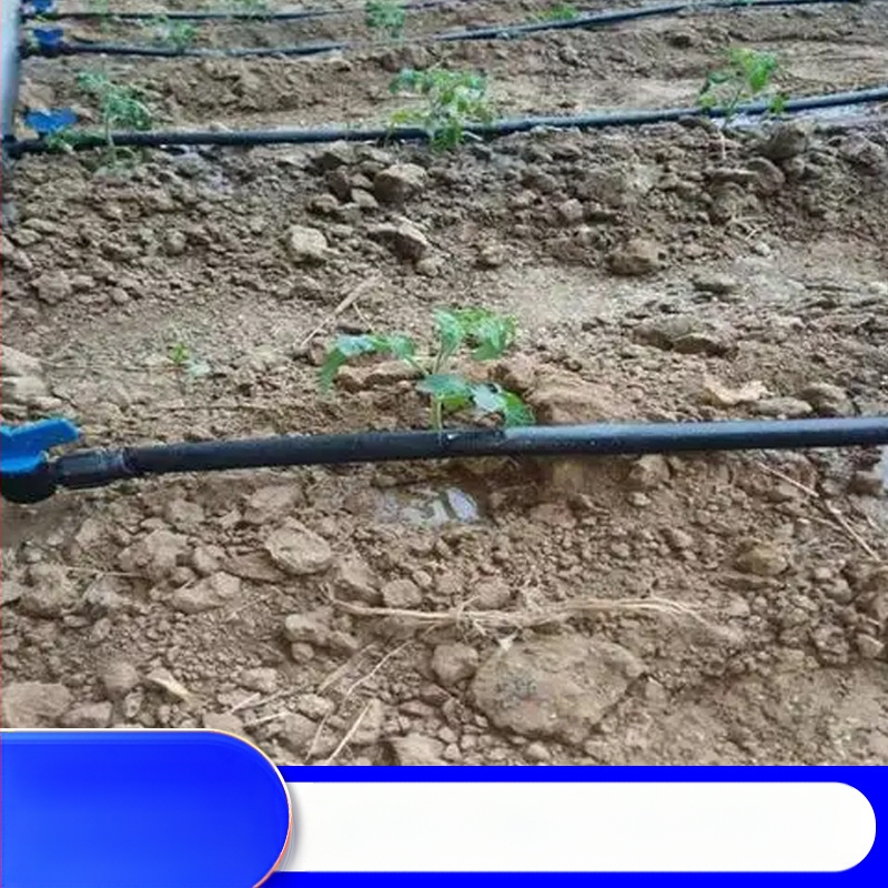 Patch-Type dviejų angų lašelinė drėkinimo juosta šiltnamiams (daržovės, paprikos, braškės) – Golden Autumn