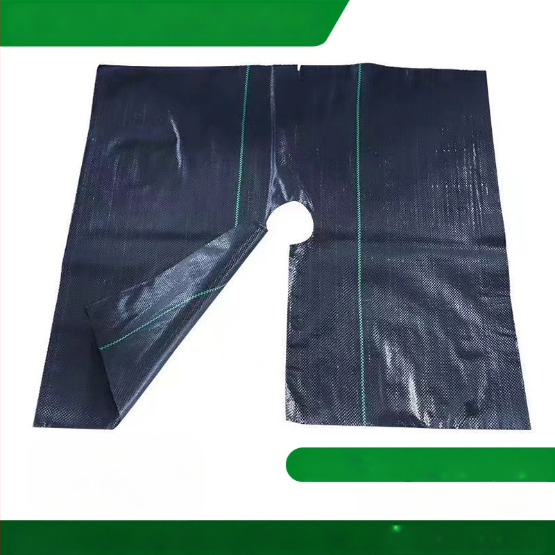 Υφασμάτινο κάλυμμα κατά των ζιζανίων για οπωρώνες και θερμοκήπια | Υλικό PP/PE; Κατασκευαστής: Ningning Garden; Προέλευση: Shandong; Πλαστικά γεωργικά προϊόντα