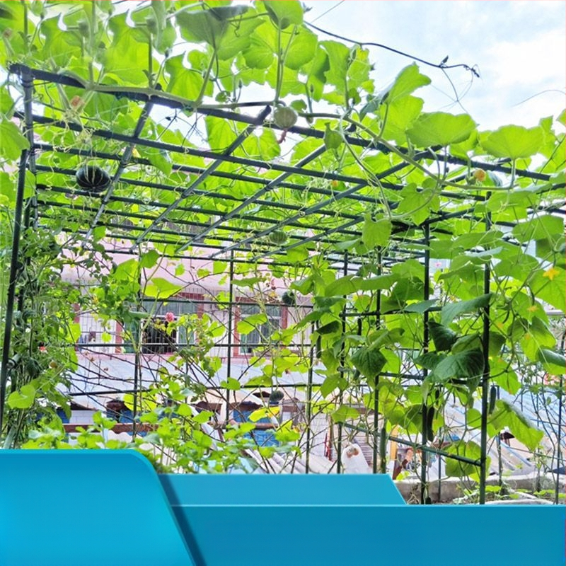 Σιδερένια κηπουρική αναρριχητική στήριξη για εξωτερικό μπαλκόνι — κατάλληλο για αναρριχητικά φυτά