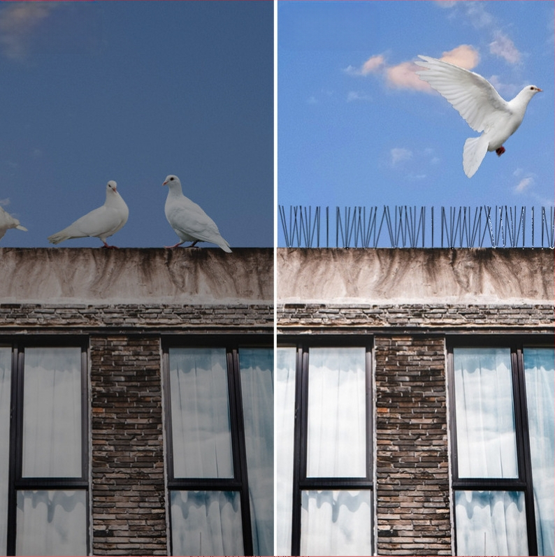 Балконни антиптичи шипове – модел 223, пластмаса и неръждаема стомана, защита срещу птици