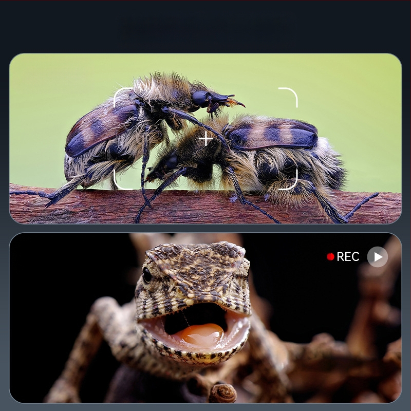 HDMI skaitmeninis mikroskopas su įmontuotu ekranu, 100x didinimas, 2 MP jutiklis, nešiojamas dizainas elektronikai