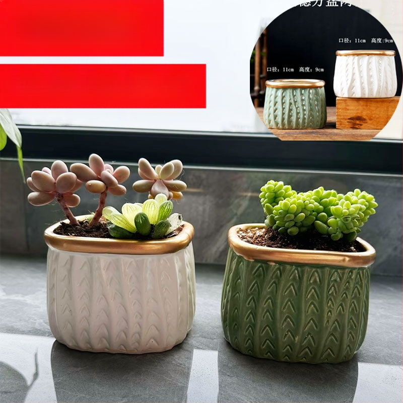 Keraminis vazonėlis sukulentams, kvėpuojantis ir tvirtas, aukštatemperatūroje degintas, staliniam ar grindų naudojimui