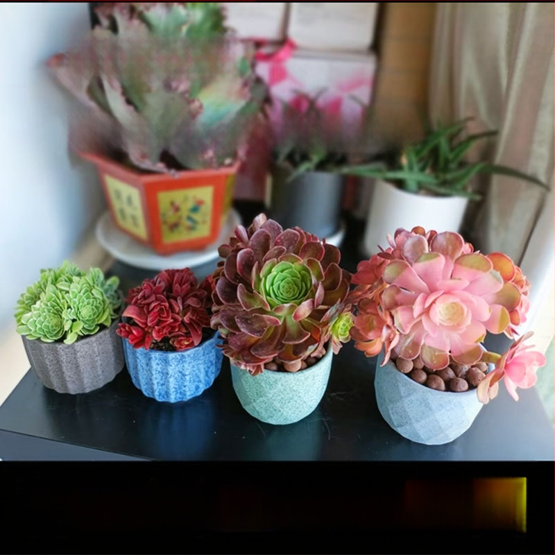 Keraminis vazonėlis sukulentams, kvėpuojantis ir tvirtas, aukštatemperatūroje degintas, staliniam ar grindų naudojimui