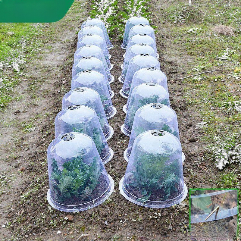 Izoliuotos skaidri dangtelius vaisiams ir daržovėms, 3 dalių plastikinė komplektacija, apsauga nuo šalčio ir paukščių