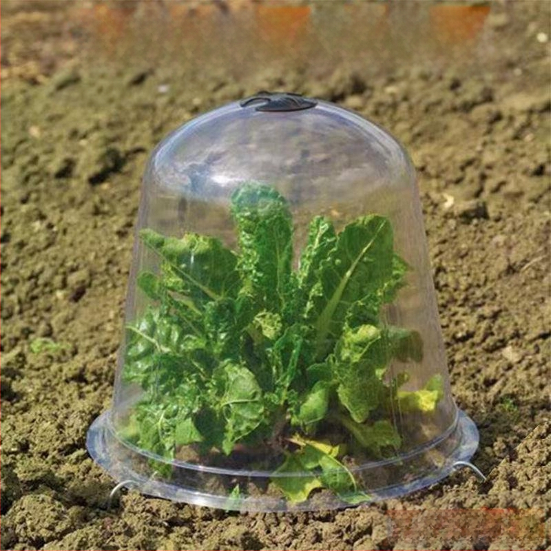 Izoliuotos skaidri dangtelius vaisiams ir daržovėms, 3 dalių plastikinė komplektacija, apsauga nuo šalčio ir paukščių