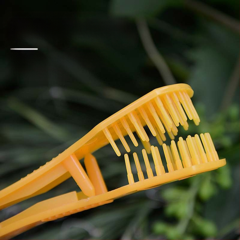 Vynuogių žiedynų retinimo klipas vaisiniams medžiams