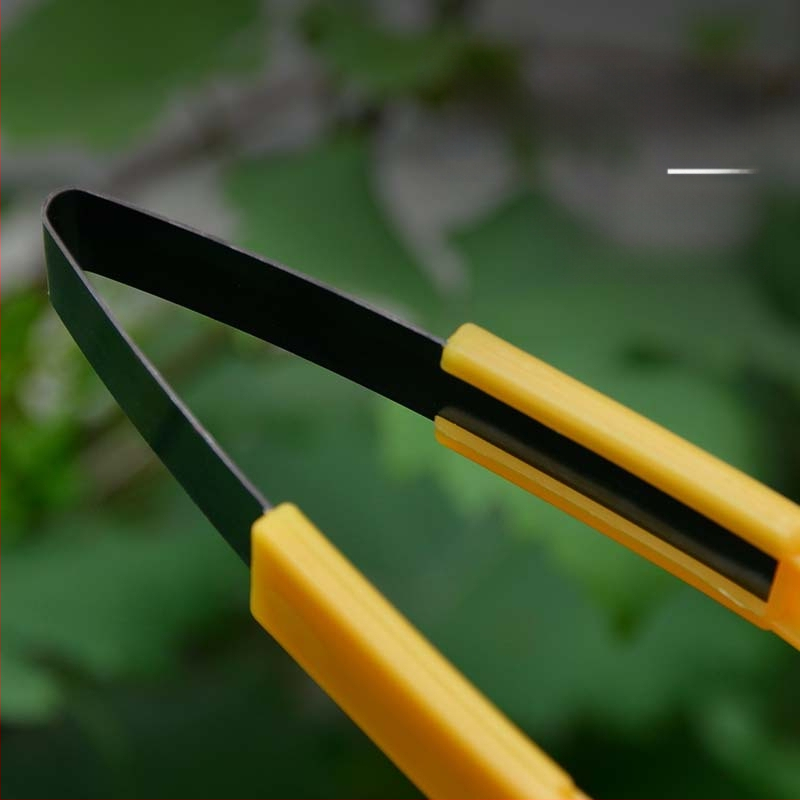 Vynuogių žiedynų retinimo klipas vaisiniams medžiams