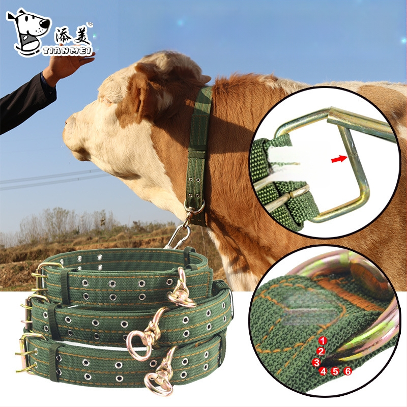 Gyvulių kaklo apykaklė galvijams, arkliams ir avis — poliesteris, universalus naudojimas, kasdienis stilius, Add beauty