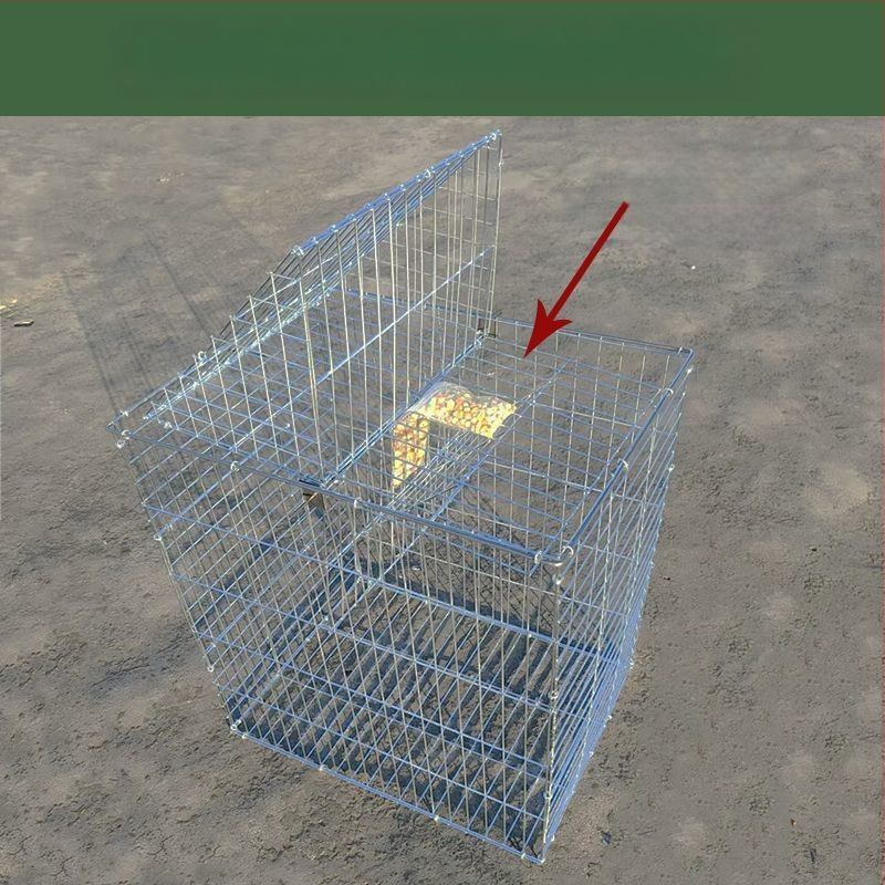 Balandžių narvas, cinkuotas, nerūdijantis, sulankstomas, nešiojamas