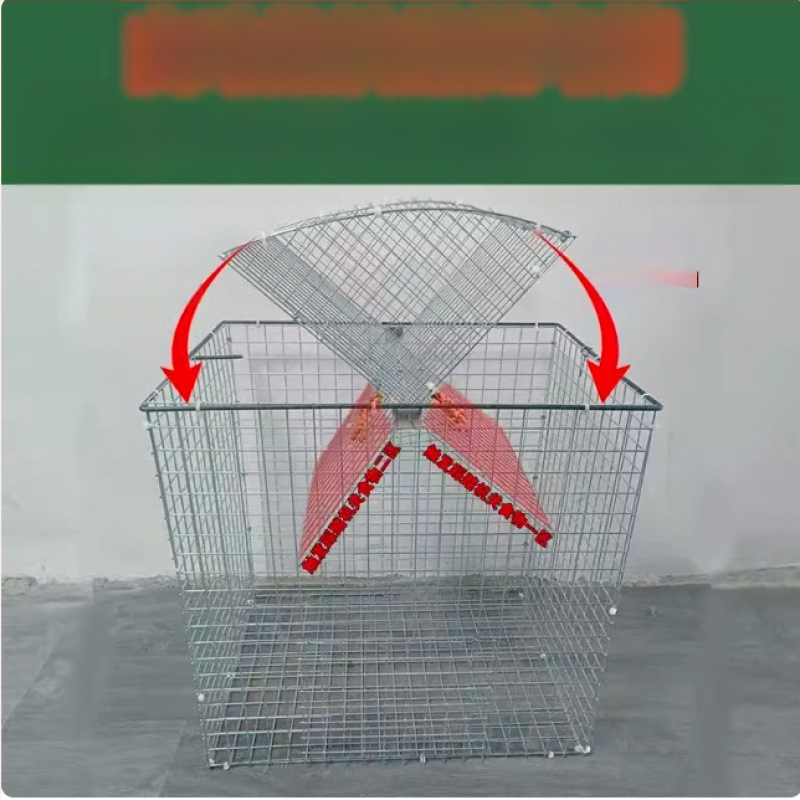 Balandžių narvas, cinkuotas, nerūdijantis, sulankstomas, nešiojamas