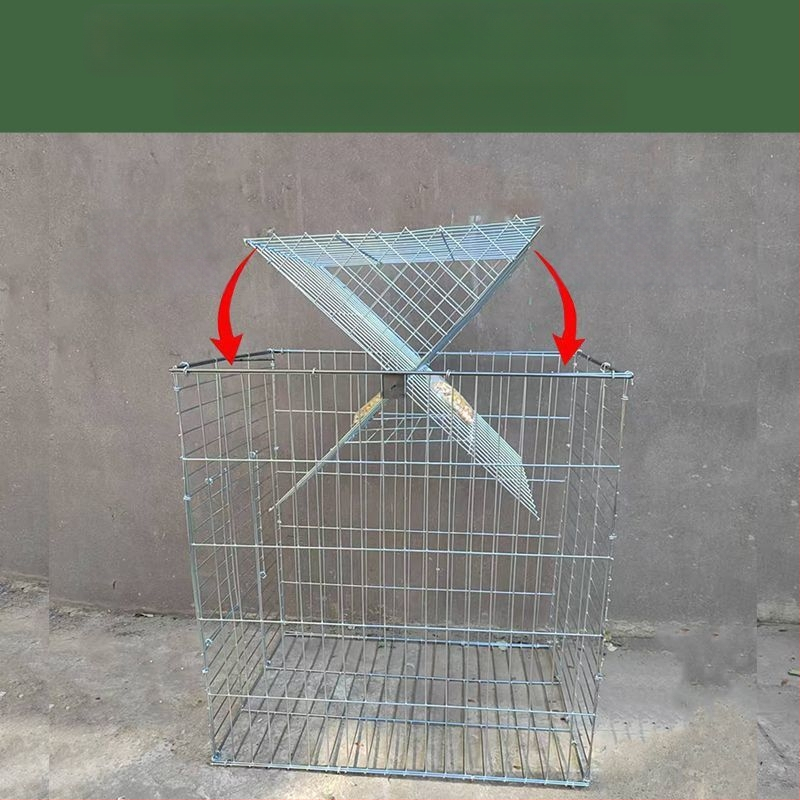 Balandžių narvas, cinkuotas, nerūdijantis, sulankstomas, nešiojamas