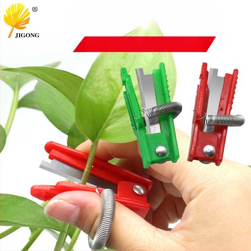 Μαχαίρι συγκομιδής λαχανικών και φρούτων για φασόλια, αγγούρια και σταφύλια, με άκρη πίεσης δακτύλου