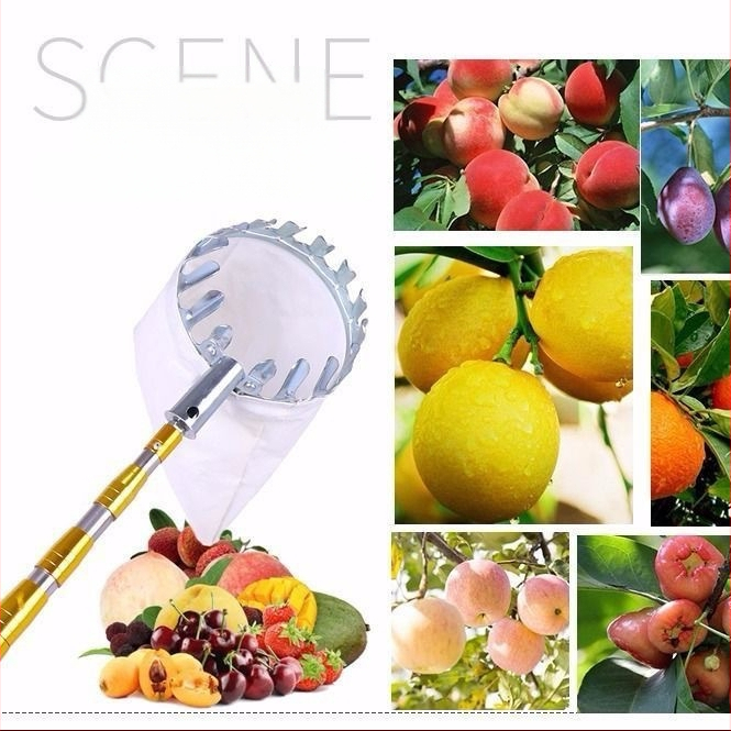 Unealtă telescopică pentru cules fructe cu foarfece pentru crengi și cârlig — oțel inoxidabil, braț cu 5–6 secțiuni, lungime reglabilă