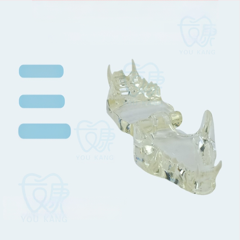 Háziállatok dentális modellje oktatáshoz, Youkang Technology, OEM fogmodell, dobozban 100 darab, kategória: egyéb szájhigiéniai kémiai termékek
