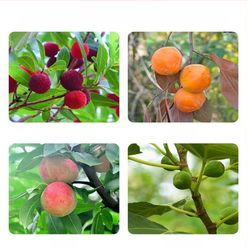 Τηλεσκοπική ράβδος συγκομιδής φρούτων με γάντζο, από ανοξείδωτο ατσάλι και γαλβανισμένος συλλέκτης φρούτων; 3–6 τμήματα; βάρη 0,6 kg / 1,7 kg / 2,5 kg