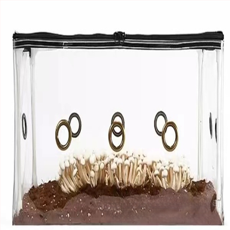 Izoliuota grybų auginimo dėžė su stiklo pluošto rėmu ir PVC gaubtu vidaus šiltnamiams