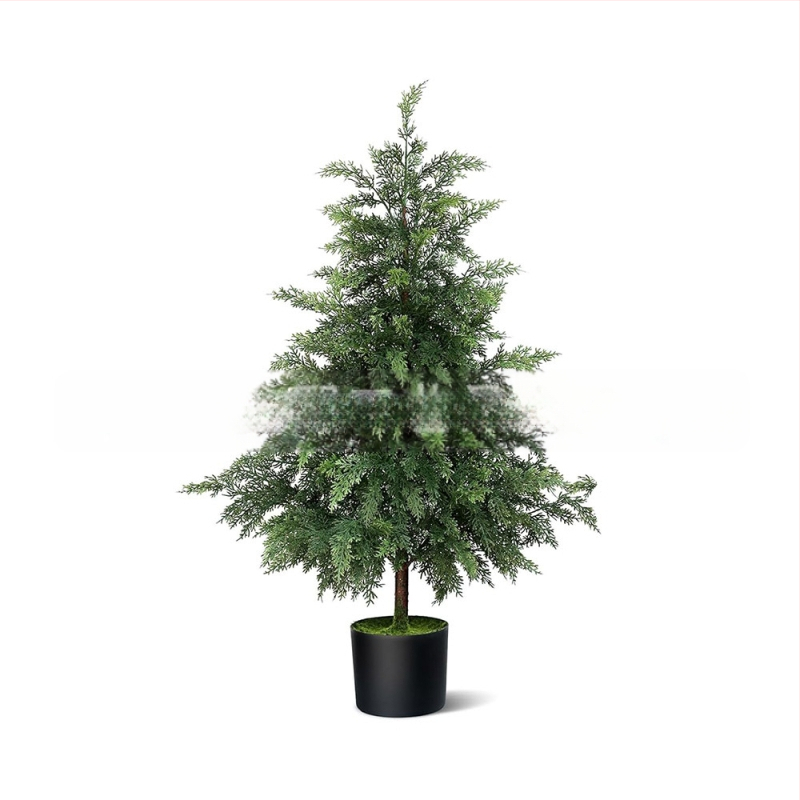 Xinxi Minkštas PVC Bonsai papuošalas — Netikras augalas su kedro lapomis, Įvairovė 18328127424; Gamyba: įpurškimo formavimas, liejimas, 3D spausdinimas