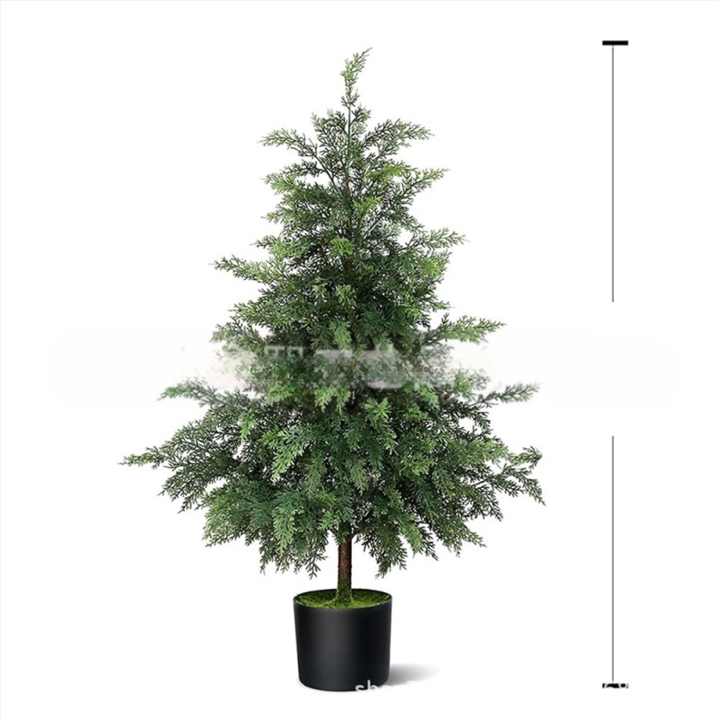 Xinxi Minkštas PVC Bonsai papuošalas — Netikras augalas su kedro lapomis, Įvairovė 18328127424; Gamyba: įpurškimo formavimas, liejimas, 3D spausdinimas